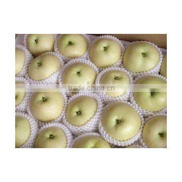 Fresh Apple Pears From China