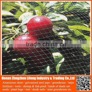 safety dark pe greenhouse anti bird net , nylon agricultural bird netting , plastic green bird control screen mesh net