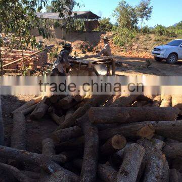 High Quality Charcoal From Laos photo-4