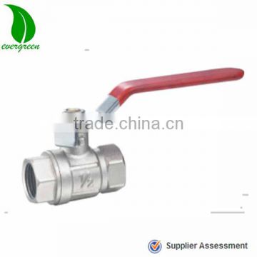 SS ball valve