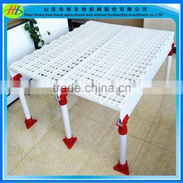 China factory manufactor poultry plastic slat floor