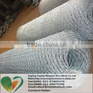 Qualified 2" Galvanized Chicken Wire Mesh