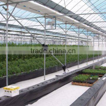 Film Greenhouse for tomato and other vegetables