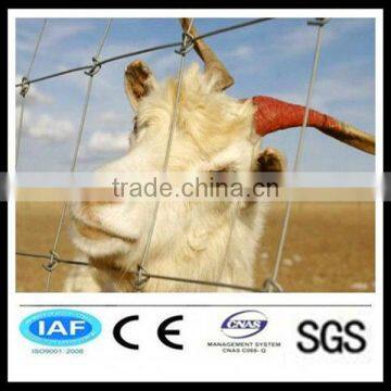 cattle wire fence mesh / field fence rolls professional manufacture