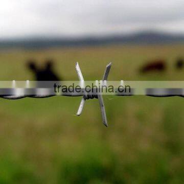 Cheap Galvanized Single Strand Barbed Wire photo-4