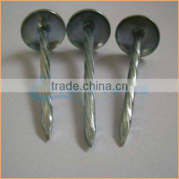 Top Quality Lead Roofing Nails Trusted Chuanghe Suppliers From Com photo-3