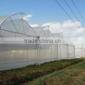 Tropical Greenhouse photo-2