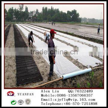 Big Roll pp Spunbonded Nonwoven Fabric for Agriculture photo-3