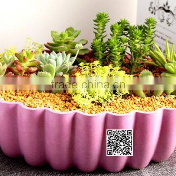 310*100 Biodegradable Colorful Plant Flower Pot Eco Planer