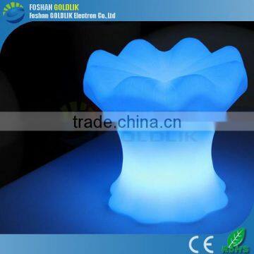 Indoor & Outdoor LED Decoration Lights/Holiday LED Lights