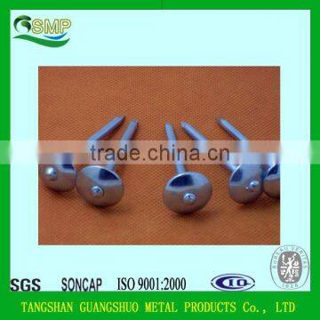 China ISO factory Common Nail/ Wire Nail / Umbrella Roofing Nail RN-30D