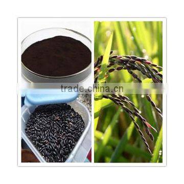 Nigella Sativa Extract