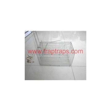 Single Door Bait Rat Cage Trap