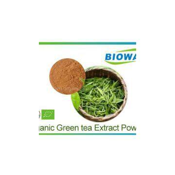 Organic Green Tea Extract Powder