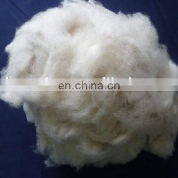 Pure Inner Mongolian Lt.grey cashmere fiber with SGS 16.0-16.5mic/ 26-38mm