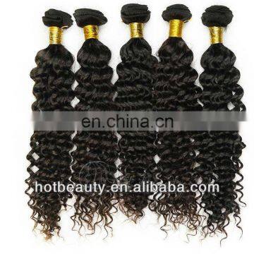 Hotbeauty Virgin Human Hair Malaysian Virgin Deep Curly