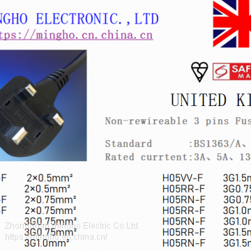 UK、SASO、PSB Non-Rewirecable Fused Plug