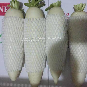 White Radish