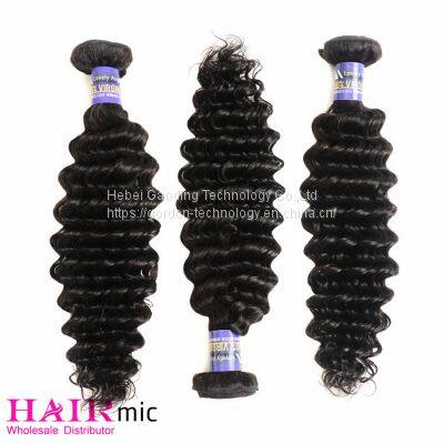 Natraul Color Deep Wave Human Hair Bundle Hair Weft