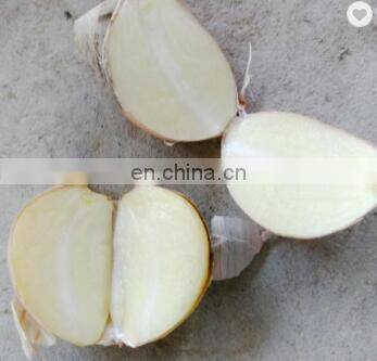 Pure White Fresh Garlic Chinese Garlic photo-3