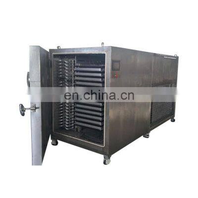 China vacuum freeze dryer machine vegetable freeze drying vacuum dry lyophilized price