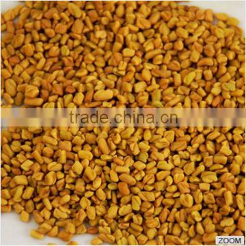 Indian Fenugreek Seeds