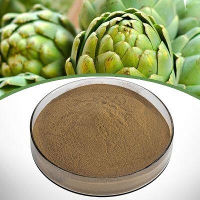 Artichoke Extract