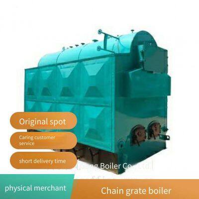 4-ton Environmental-friendly and Energy-saving Chain Grate Boiler (dzl4-1.25-sci), Biomass Steam Boiler for Plastic Factory