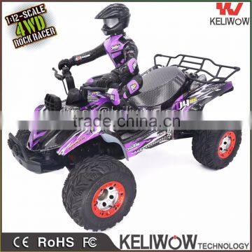 1/12 Scale Professional High Speed Dirt & Desert RC Buggy 2.4G 4WD