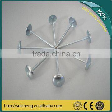 Guangzhou factory Free Sample 2inch 2.5inches 9 gauge umbrella roofing nails for sale