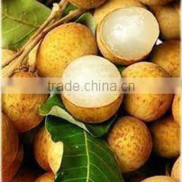 Canned Fresh Longan in Syrup - 30 oz Tin (850ml x 24 Tins) photo-2