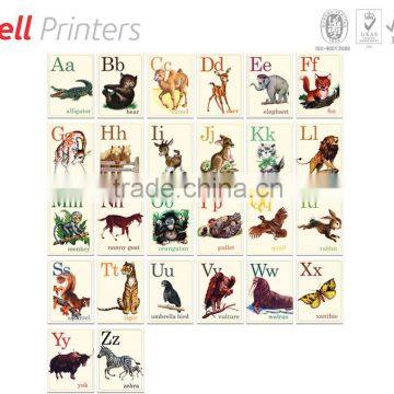 Children Flash card front and back printing with wipe and clean option from India