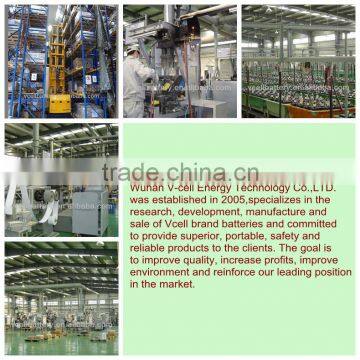 6V180AH(3-D-180) Electric Golf Cart Battery for Deep Cycle Application photo-5