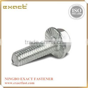 hex bolt / hex flange bolt DIN6921 Grade 4.8/8.8