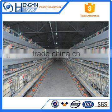 Automatic Chicken Layer Cage in Kenya photo-6