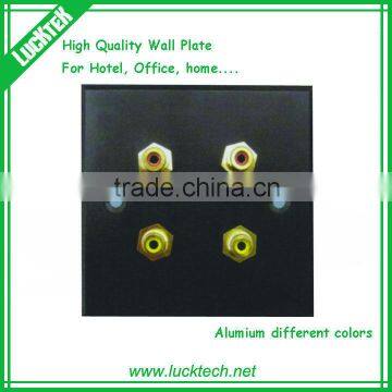 audio wall plate with video