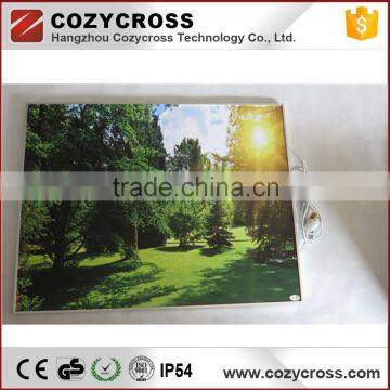 Wall Mounted Far Infrared IR Panel Heater