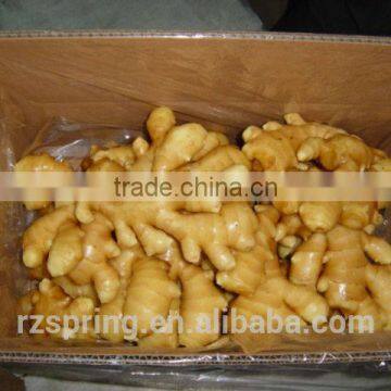 Wholesale Chinese Spicy Mature Fresh Ginger photo-3