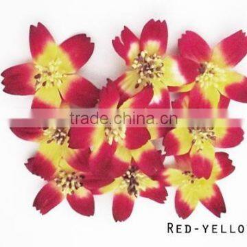 Bulk pack 50 pcs handmade Red-Yellow Cosmos paper flower