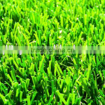 soccer field futsal grass