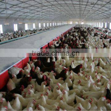 2014 Hot-sale Automatic Chicken Nest Box photo-2