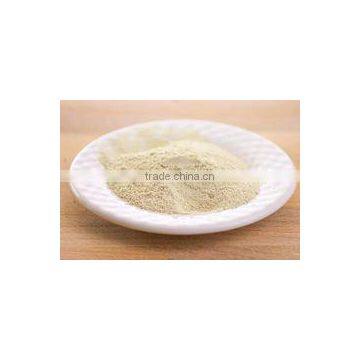 Good Quality Natural Dried Garlic Powder