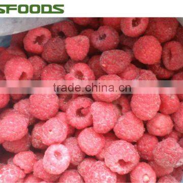 2015 New IQF frozen raspberry price