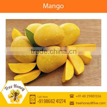 Fresh Mango with Good Taste Available at Competitive Price