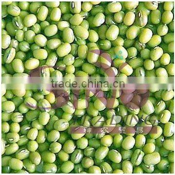 Green Mung Bean