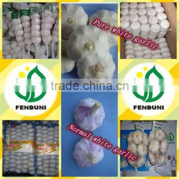 Fresh vegetable (garlic, ginger, onion, potato, carrot) for international Market