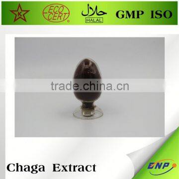 Organic Chaga Mushroom Powder Extract