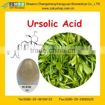 GMP Factory Natural Loquat Leaf Extract Powder
