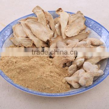 Supply Factory Price of High Quality Ginger Powder