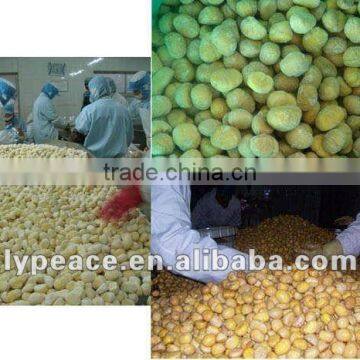 selecting fresh potato for dehydrated vegetables price